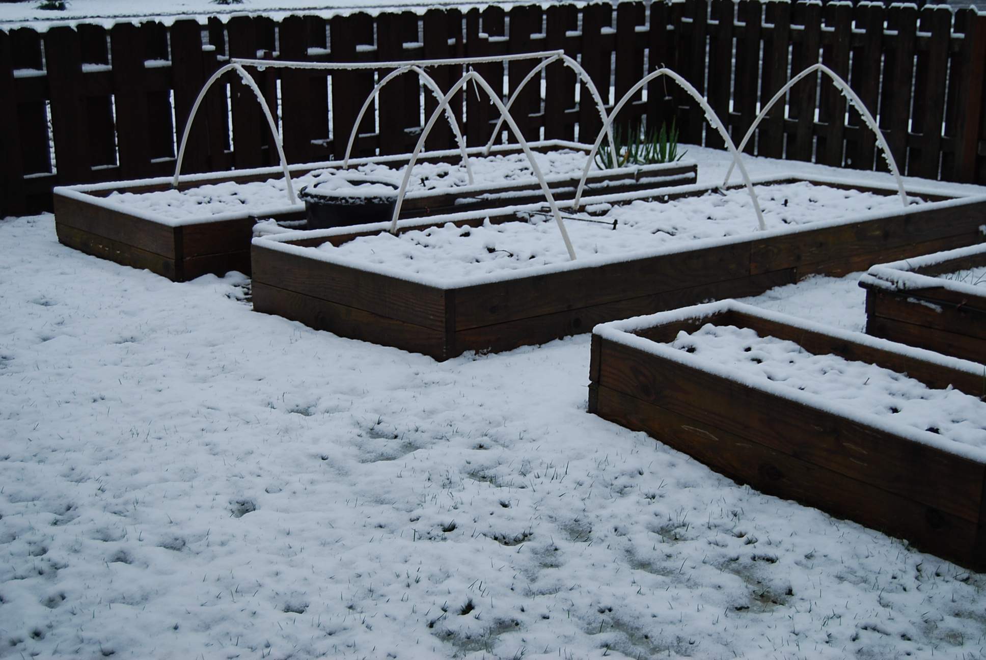 How Does Your Garden Grow?