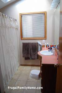 Bathroom Before