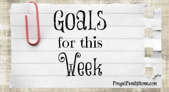 Goals for This Week, September 28th