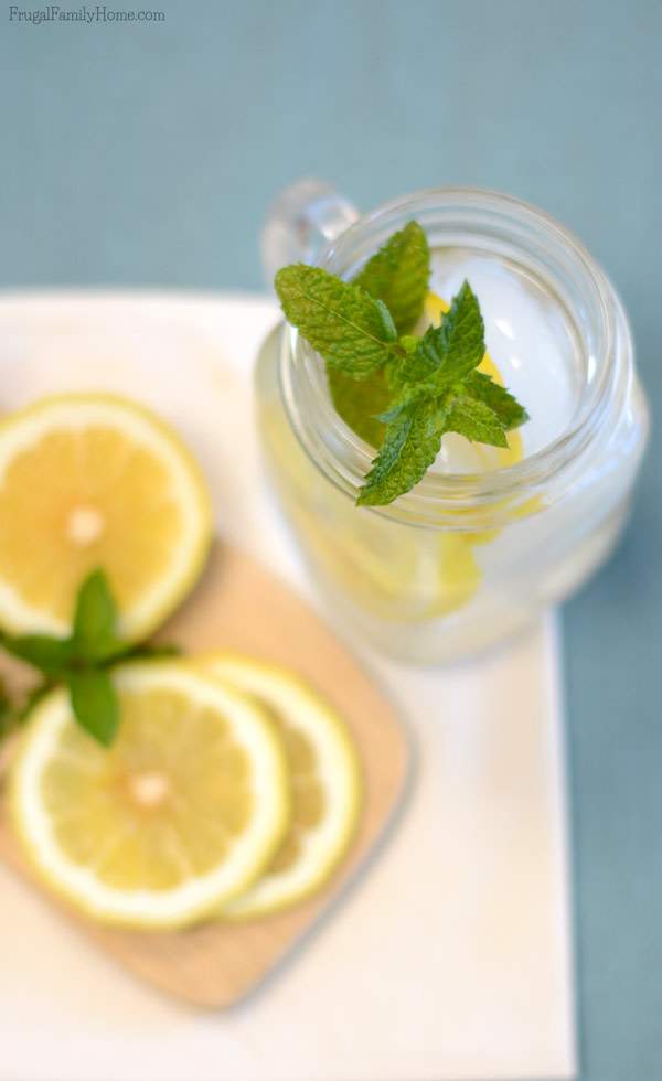 Easy mint drink recipes Easy mint drink recipes