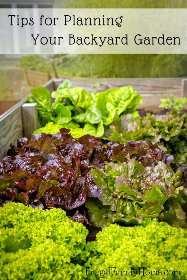 If You Are Wanting To Start A Backyard Garden This Year Youu0027ll Want To If You Are Wanting To Start A Backyard Garden This Year Youu0027ll Want To
