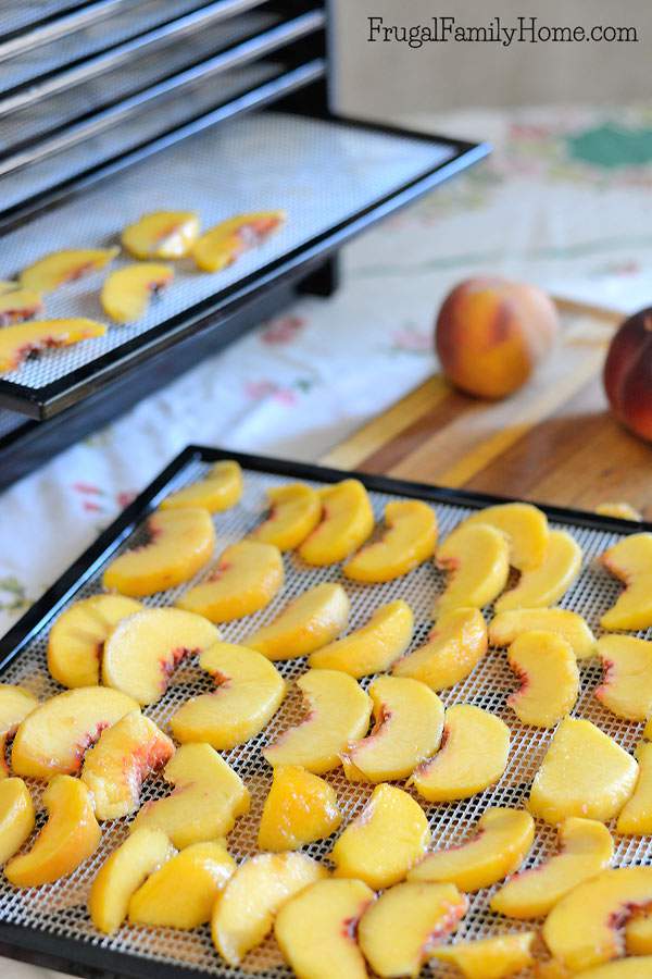 How to Perfectly Dry Peaches at Home