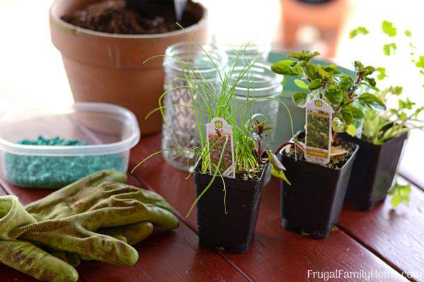 DIY Windowsill Herb Garden, Simple Garden Gift