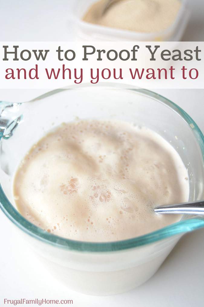 Proof Yeast IT Recipeze