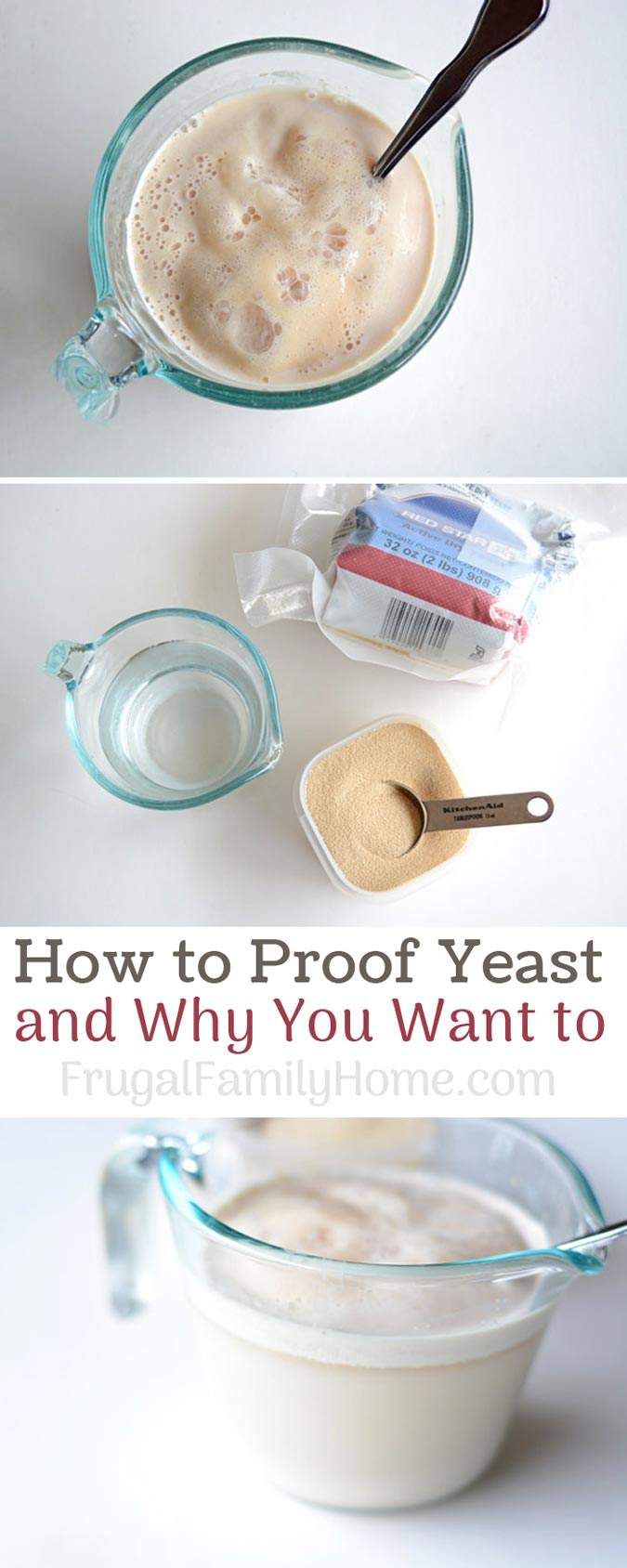 How to Proof Yeast and Why You Want To